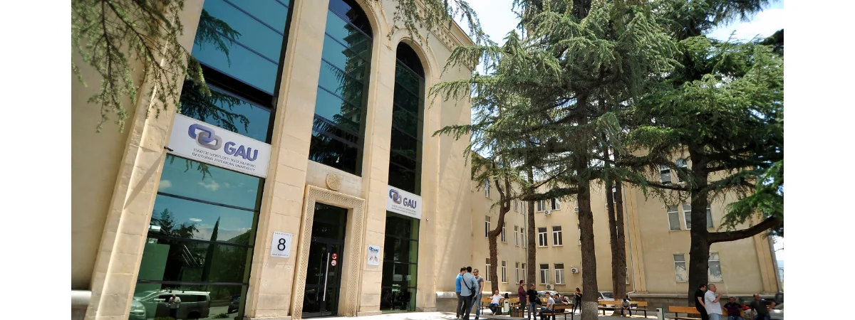 Georgian American University